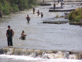angling