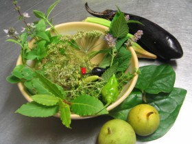 herbs