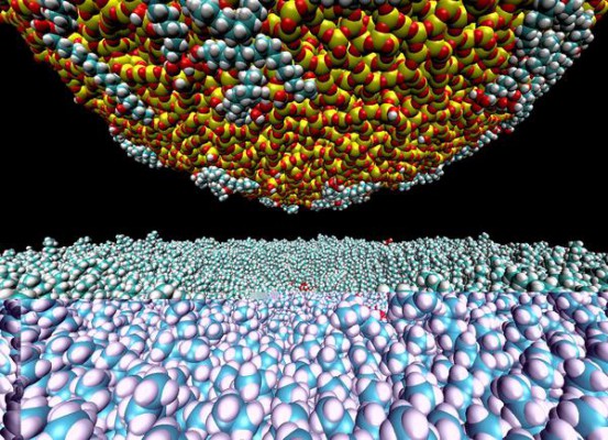 Zabezpieczająca nanopowłoka z wyciągiem z lukrecji