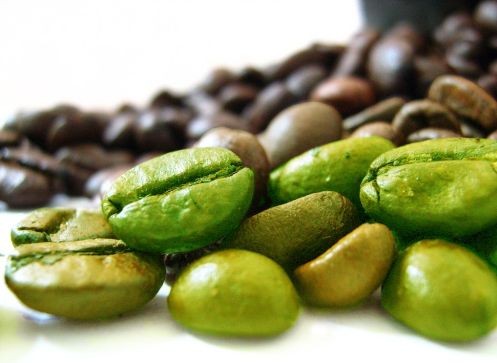 Kariera zielonej kawy