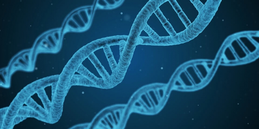 Mutacje genetyczne zwiększają ryzyko rozwoju próchnicy
