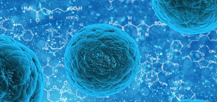 Komórki macierzyste w periodontologii – science-fiction?