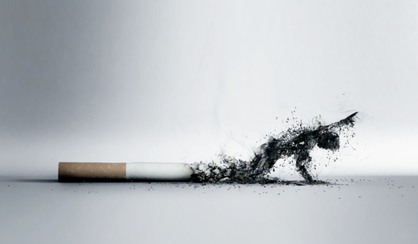 Pacjent palacz – Światowy Dzień Rzucania Palenia 2017