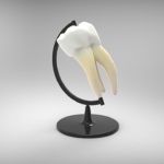 dentists for Africa - Dentonet.pl