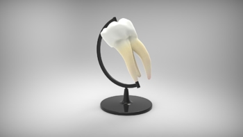 dentists for Africa - Dentonet.pl
