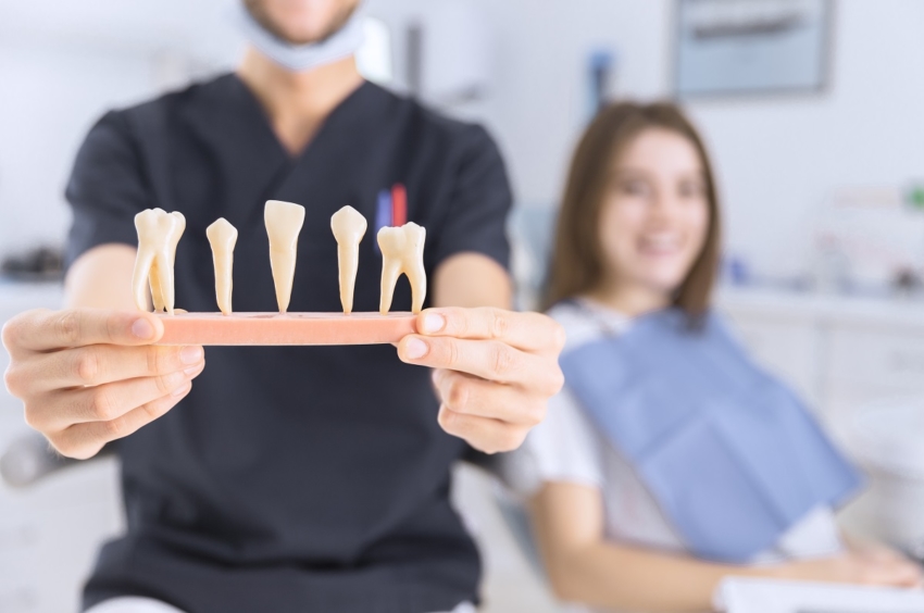 Dentysta wykładowcą nie na każdym szkoleniu praktycznym