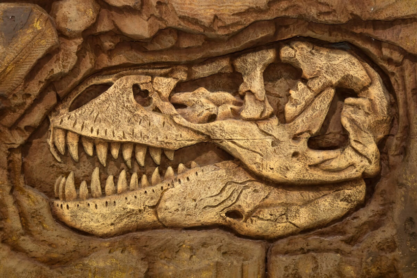 W centralnej Polsce odkryto cztery zęby plezjozaurów