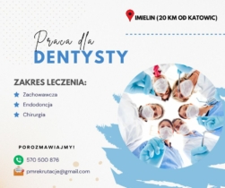 Poszukujemy Lekarza Dentysty - Imielin (20 km od Katowic)