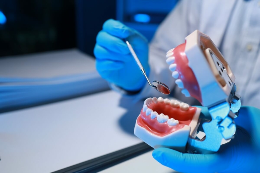 Studia stomatologiczne Katowice: kierunek lekarsko-dentystyczny na Śląskim Uniwersytecie Medycznym w Katowicach 2024/2025