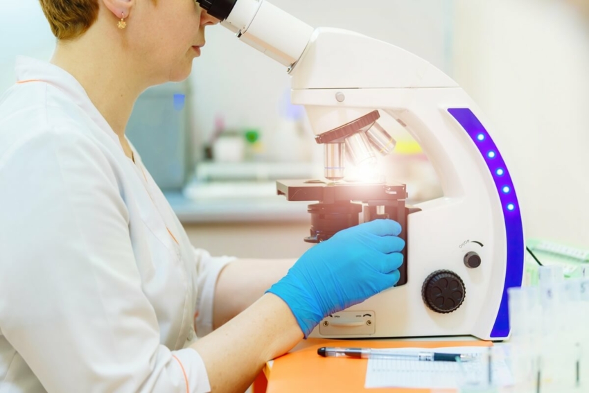 Baza zębów pomoże identyfikować szczątki zaginionych