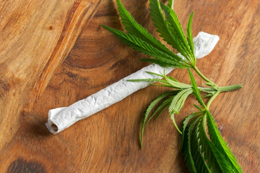 Czy marihuana sprzyja rozwojowi próchnicy i utracie zębów?