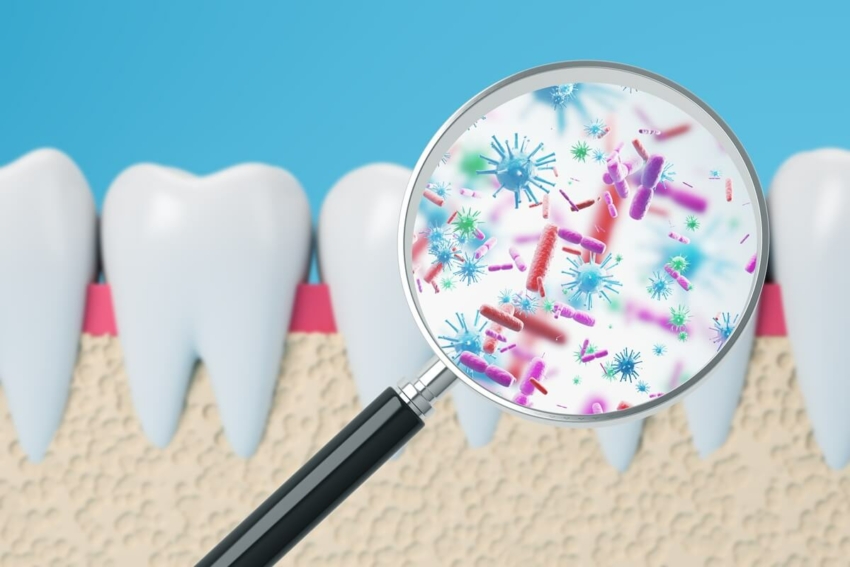 Jak P. gingivalis „oszukuje” układ odpornościowy