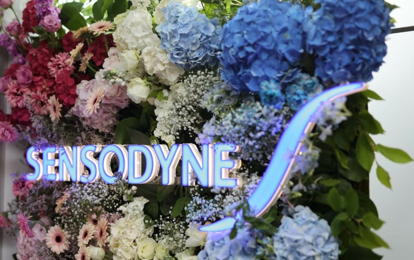 Asysdent 2025 1h