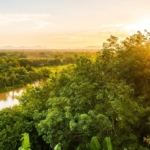 Amazonia