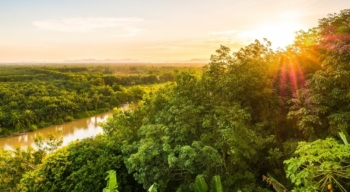 Amazonia
