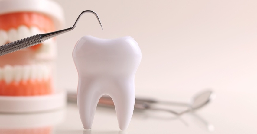 Czechy: 22-latek polecanym lekarzem dentystą?