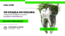Konferencja dla lekarzy Haleon 2