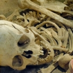 archeologia zeby
