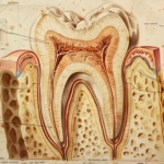 stomatologia 3